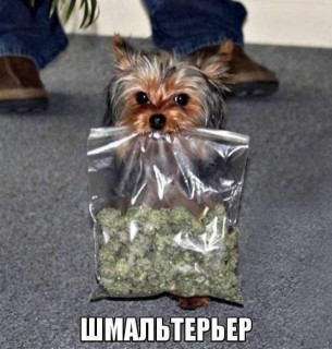 FB_IMG_1573426327244