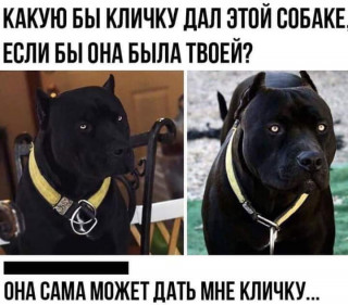 FB_IMG_1573239465770