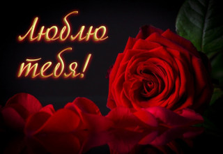 Люблю  Тебя