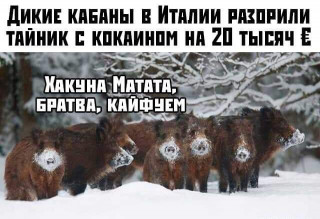 FB_IMG_1573841028255