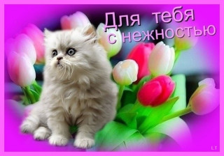 BGkqAGhxwsQ