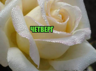 Четверг_21_11