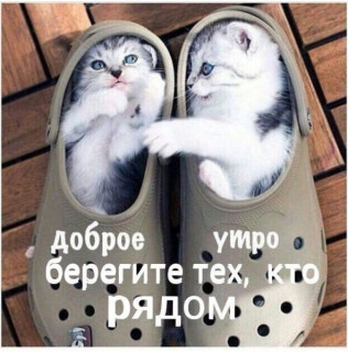 79473826_f_600_600_0