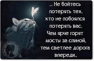 FB_IMG_15743153368094446