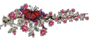 цветы с бабочкой