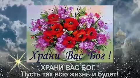 Foiz__VID-20170113-WA0000