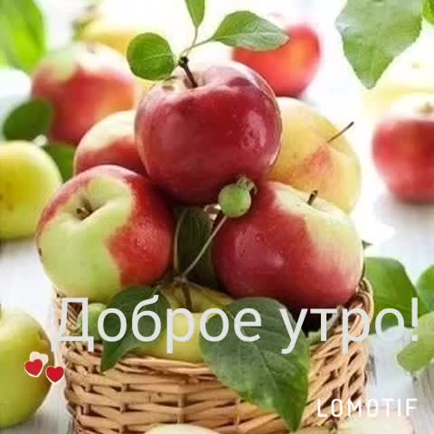 Красивое_утро
