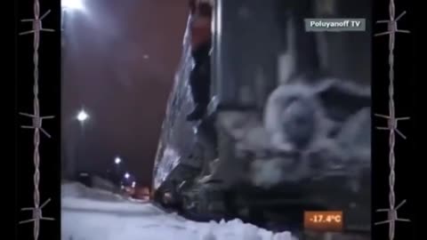 ПОЛЕТЯТ МОТЫЛЬКИ НАД ТАЙГОЙ