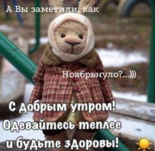 254850491_p_600_600_0