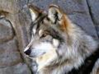 20191123_100139
