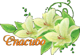 b6a95fbd057fff5bdaf1c8e9178d744a