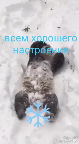 VID-20191122-WA0001-