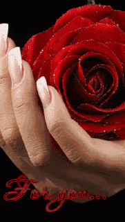 Krasnaja_roza_dlja_ljubimogo_For_you___