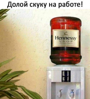 FB_IMG_1574705046117