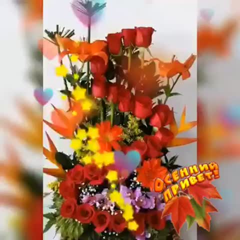 Осенний_привет