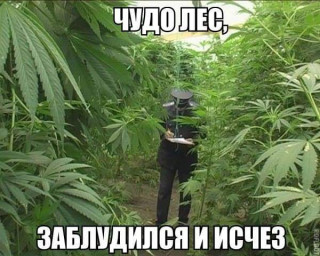 FB_IMG_1567097669507