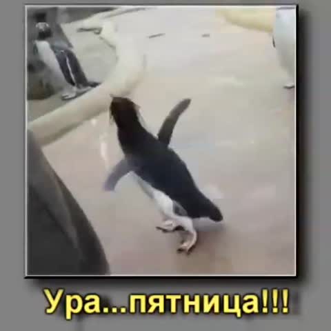 video-27a4f7faabd26285597cd06ecd9d2afe-V