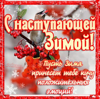 С_наступающей_зимой