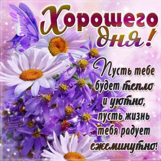 Хорошего дня