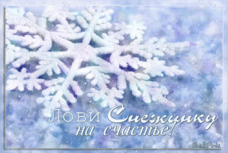 Лови снежинку на счастье
