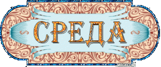 Среда