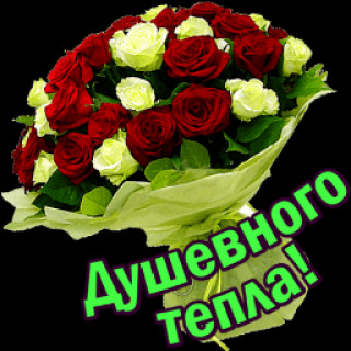 getImage3