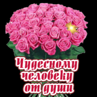getImage1