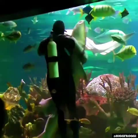 VID-20191203-WA0101