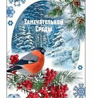 Замечательной_среды_04_12