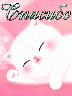 10-12-55-1484228820_2779-spasibo