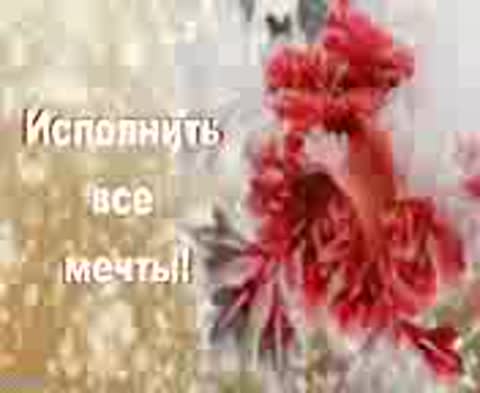 С_днём_рождения_в_декабре