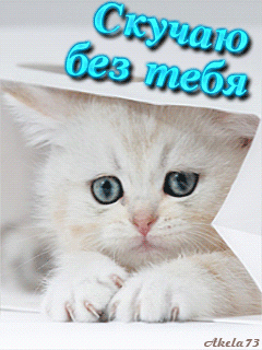 7251f41a49of975537908a2703facadl