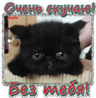 1503390431_2215-ochen-skuchayu-bez-tebya