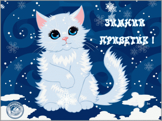 Foiz__10-29-08-image_1