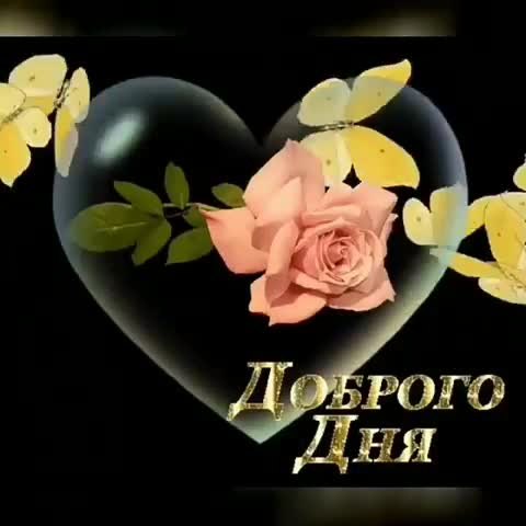 Доброго_всем_дня
