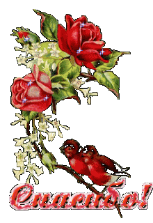 Foiz__122927623_60882_1