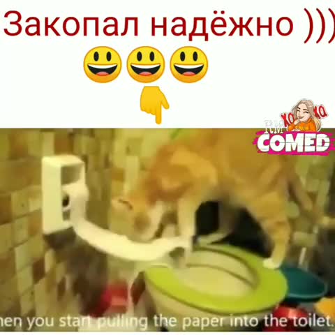 VID-20191211-WA0008-