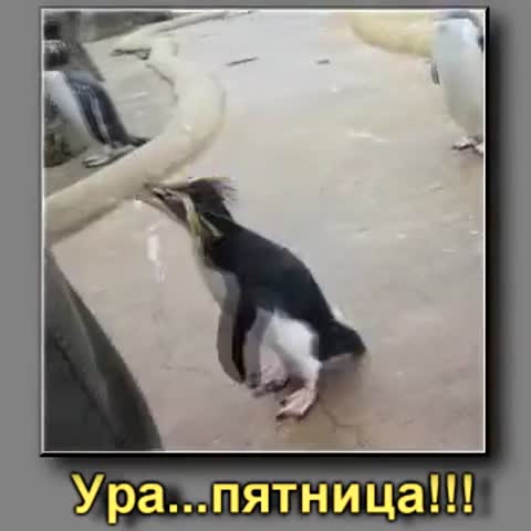 Снова_пятница