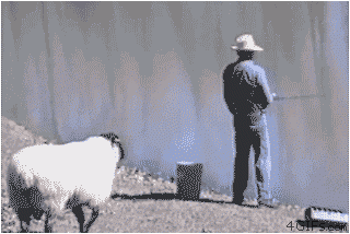 giphy_7