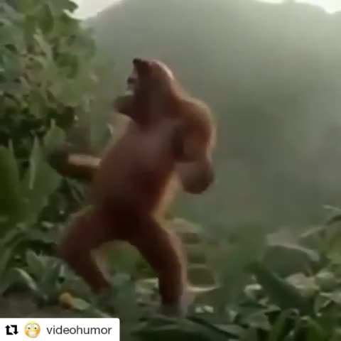 Танцуют все