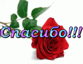 Спасибо