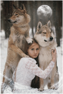 Зимняя_вьюга