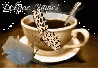 quot_quotdOBROe_uTRoquot_quot-