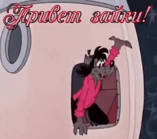 Привет зайки