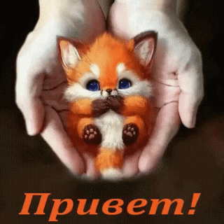 Привет