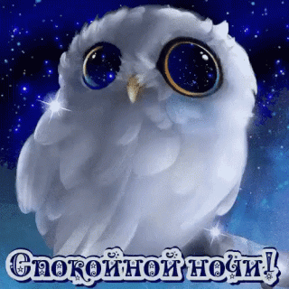 Спокойной ночи
