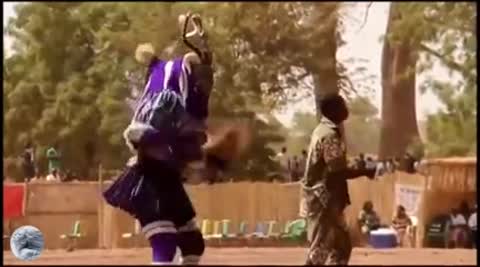 Чубчик_кучерявый