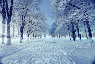 stock_photo_night_landscape_in_winter_city