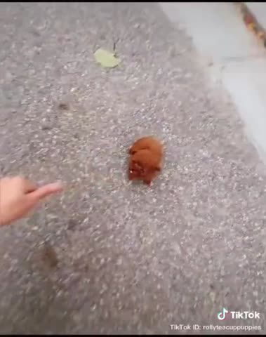 он_настоящий