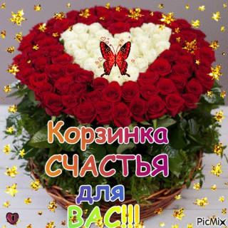 Tc8W5snrlBA